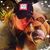 Liz VH Mansfield's profile image