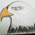 Mark Powell's profile image