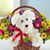 Deb Farmer's profile image