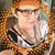Tammy Hamilton Godwin's profile image