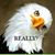 Steve Wilson's profile image