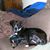 Flo E. Hinkle's profile image