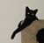 Rodney Mitchell's profile image