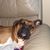 Jack Staudt's profile image