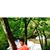 Sandy Peterson's profile image