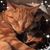 Janice Lord's profile image