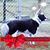 Elaine Huber's profile image