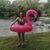 Danielle Johnson's profile image