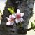 Vickie McCauley's profile image
