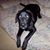 Rita-Ann Providenti-Shaffer's profile image