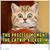 Kathy Quitta's profile image
