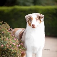 Teresa Pepper-Marble's profile image
