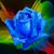 Kimberly Keyla Sierra's profile image