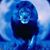 Lenore Yeszin's profile image