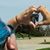 Kelly Fryke Oliver's profile image