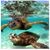 Mandy Jackson-Staas's profile image