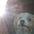 Ednabell Bellman's profile image