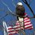 Craig Molinaro's profile image