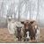 Kathleen Scurlock's profile image