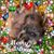 Deanna L. Lasater's profile image