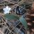 Rebekah Bhavani Crisp's profile image