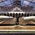 Daniel Mantell's profile image