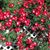 Gail Damery's profile image