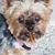 David Poindexter's profile image