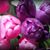 Penny Baxter's profile image