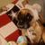 Jessica Cyrier's profile image