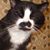 Vicky Galloway's profile image