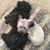 Delores Vaughn's profile image