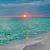 Tina Buchanan Leinart's profile image