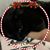 Michelle Noirot Murray's profile image