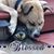 John Jackie Sauer's profile image