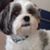 Bonny Taylor's profile image