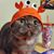 Emily Bundy's profile image