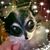 Janet Cannon's profile image