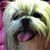 Vickie Urban's profile image