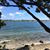 Zoraida Rodriguez's profile image