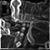 Shelly A. Flynn's profile image