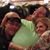Cyndie Agerton's profile image