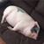 Bo Zhao's profile image