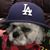 Hector Ortiz's profile image