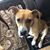 Allison Napier-Southard's profile image