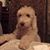 Lindsay Newham Hodgson's profile image