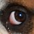 Shawn Burk's profile image