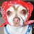 Cheryl Hujar's profile image