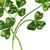 Linda McCamley's profile image