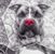 Ginger Holmes Didino's profile image